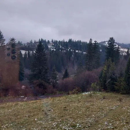 Karpatski Prostory Деревянный коттедж *