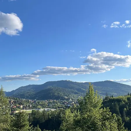 Деревянный коттедж Karpatski Prostory *