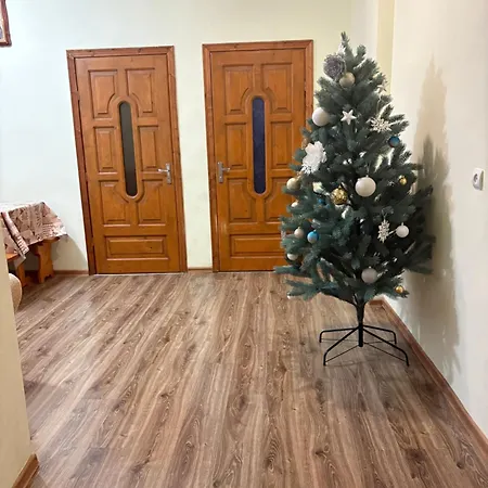 Karpatski Prostory *