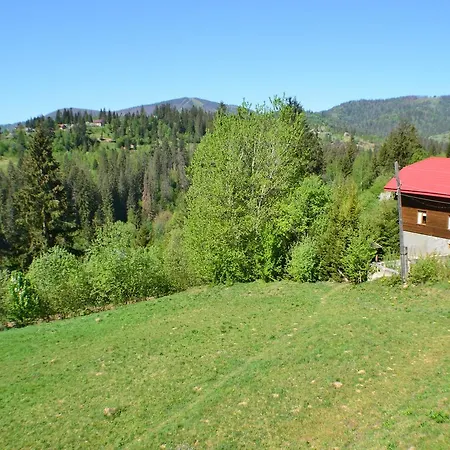 Деревянный коттедж Karpatski Prostory *