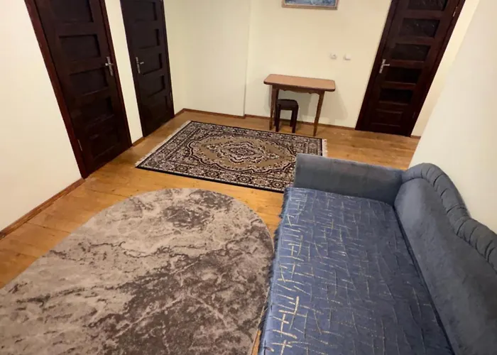 Orman Evi Karpatski Prostory *