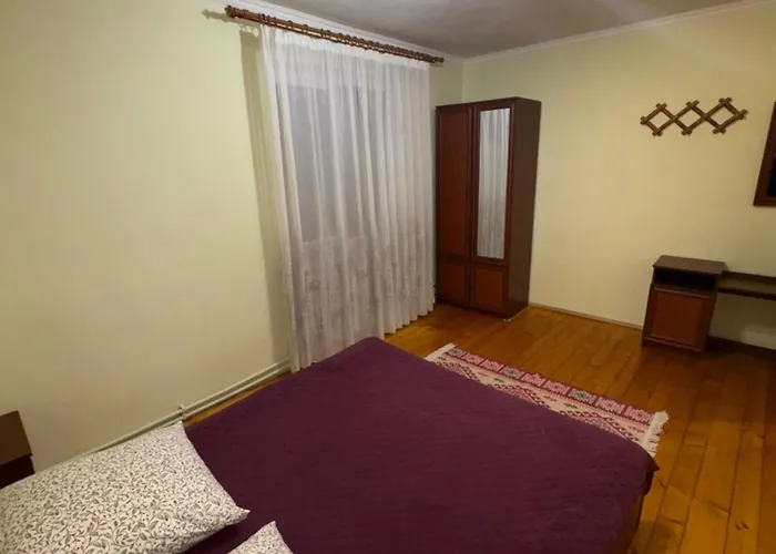 Orman Evi Karpatski Prostory Slavske